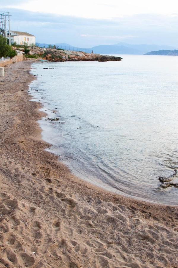 Seaside Studios Megalochori  Εξωτερικό φωτογραφία
